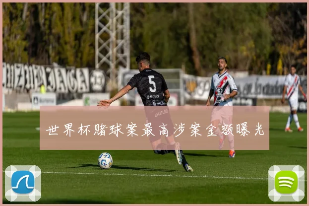 世界杯赌球案最高涉案金额曝光
