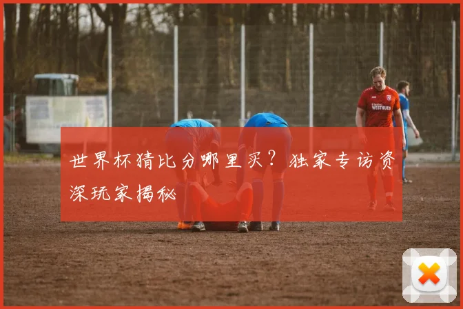 世界杯猜比分哪里买？独家专访资深玩家揭秘