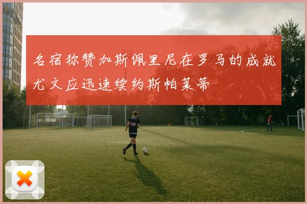 名宿称赞加斯佩里尼在罗马的成就尤文应迅速续约斯帕莱蒂