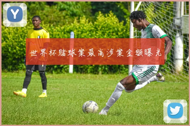 世界杯赌球案最高涉案金额曝光