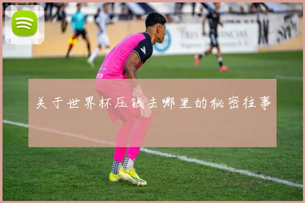 关于世界杯压钱去哪里的秘密往事