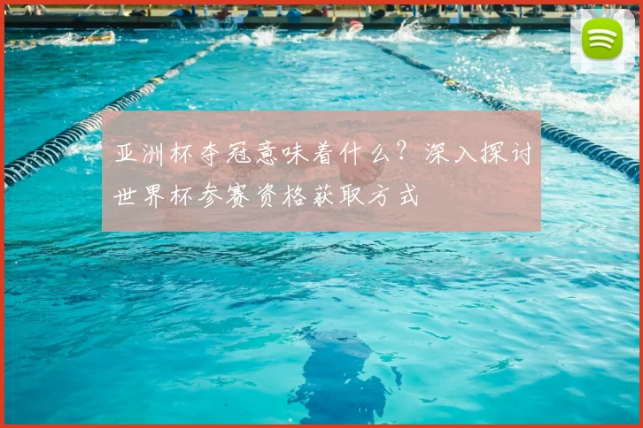 亚洲杯夺冠意味着什么?深入探讨世界杯参赛资格获取方式