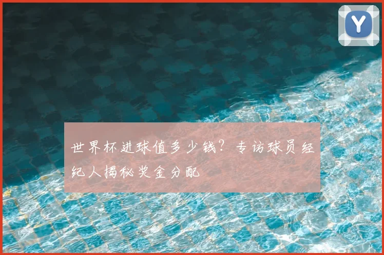 世界杯进球值多少钱？专访球员经纪人揭秘奖金分配