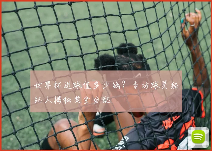 世界杯进球值多少钱？专访球员经纪人揭秘奖金分配
